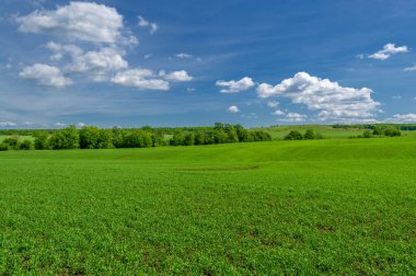 Kış tahılları, ayrıca kış tahılları, güz tahılları veya sonbahar ekili tahıllar olarak da bilinir, sonbaharda ekilen iki yıllık tahıllardır.. 