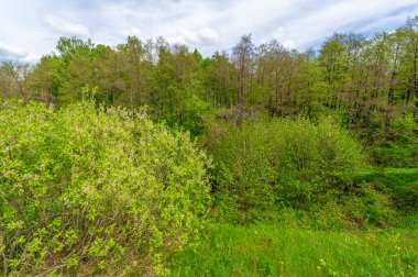 Bahar fotoğrafçılığı, eriyen kar ve yaz yağmurlarından oluşan eski bir vadi. Ceviz, meşe, huş ağacı, dağ külleri ve ıhlamur ormanları kenarlarda yetişir. Beyaz bulutlu parlak, yumuşak gökyüzü