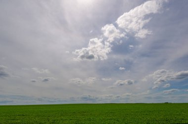 Kış tahılları, ayrıca kış tahılları, güz tahılları veya sonbahar ekili tahıllar olarak da bilinir, sonbaharda ekilen iki yıllık tahıllardır.. 