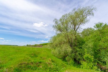 Bahar fotoğrafçılığı, eriyen kar ve yaz yağmurlarından oluşan eski bir vadi. Ceviz, meşe, huş ağacı, dağ külleri ve ıhlamur ormanları kenarlarda yetişir. Beyaz bulutlu parlak, yumuşak gökyüzü