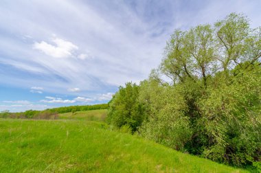 Bahar fotoğrafçılığı, eriyen kar ve yaz yağmurlarından oluşan eski bir vadi. Ceviz, meşe, huş ağacı, dağ külleri ve ıhlamur ormanları kenarlarda yetişir. Beyaz bulutlu parlak, yumuşak gökyüzü