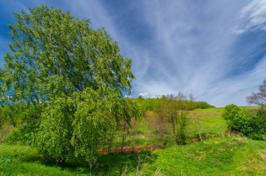 Bahar fotoğrafçılığı, eriyen kar ve yaz yağmurlarından oluşan eski bir vadi. Ceviz, meşe, huş ağacı, dağ külleri ve ıhlamur ormanları kenarlarda yetişir. Beyaz bulutlu parlak, yumuşak gökyüzü
