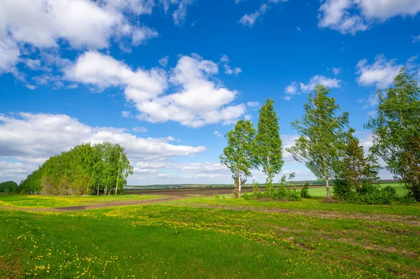 Spring Photography Fields Meadows Spring Beauty Ravines Amazing Blue Sky — Stock Photo, Image