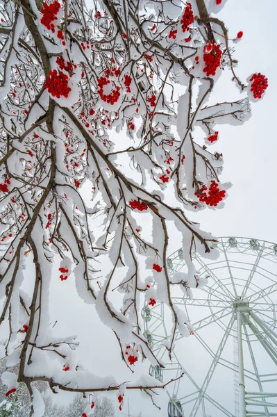 Vinterbilden Togs Med Vidvinkelobjektiv Den Första Snön Parkområdet Staden — Stockfoto