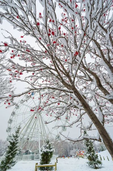 Foto Invierno Fue Tomada Con Una Lente Gran Angular Primera —  Fotos de Stock