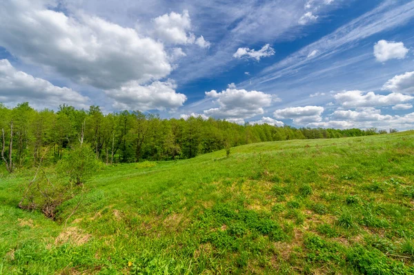 Wiosenna Fotografia Stary Wąwóz Utworzony Przez Topniejący Śnieg Letnie Deszcze — Zdjęcie stockowe