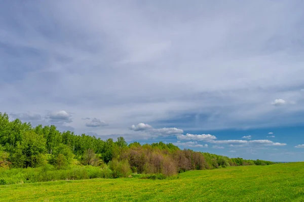 Wiosenna Fotografia Stary Wąwóz Utworzony Przez Topniejący Śnieg Letnie Deszcze — Zdjęcie stockowe