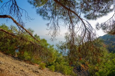 Kırım yarımadası manzaralı deniz manzaralı Tsarskoye Sahili Novyi Svet Cape Kapchik Upland Karaul-Oba, Amfibi Adam ve 20. yüzyılın Korsanları köyü yakınlarındaki harika bir yer.
