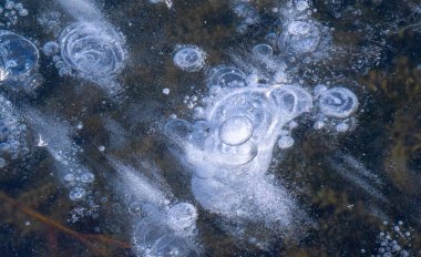 Sokakta buz var, nehirde buz var, buz kabarcıkları buzda sıkışmış, alışılmadık renkte buz mimarisi