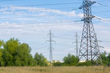 Teknolojik manzara, yüksek voltajlı elektrik hatları. Buradaki doğal kompleks bitkilerin varoluş süresi boyunca yoğun bir teknojenik etkiye maruz kalmıştır.