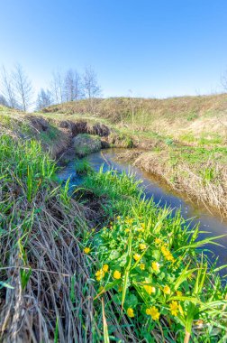 Manzara, akarsu, Bahar, Vadi 'nin fotoğrafları akan su tarafından oluşturulan ve genellikle bir yamaçta hızla toprağa çöken bir rahatlamadır. Güller büyük hendeklere ya da küçük vadilere benzer.,
