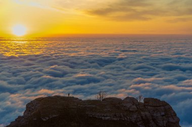 Kırım yarımadasının sonbahar fotoğrafları. Bulutların üstündeki dağlarda. Kayın, çam, boynuz, Demerdji dağlarındaki orman.