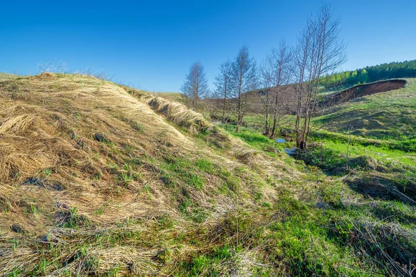 Photographs Landscape Stream Spring Gully Relief Created Running Water Rapidly — Stock Photo, Image