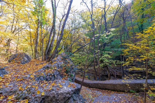 Photos Crimean Peninsula Autumn Jur Jur Waterfall Landmark Vicinity Alushta — 图库照片