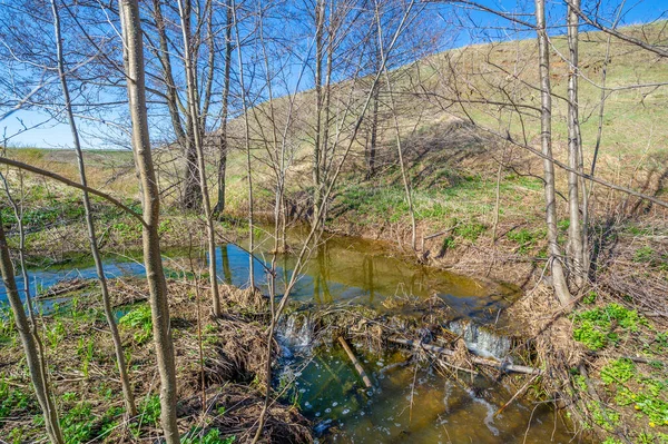 Foto Van Een Landschap Beek Lente Gully Een Opluchting Gemaakt — Stockfoto