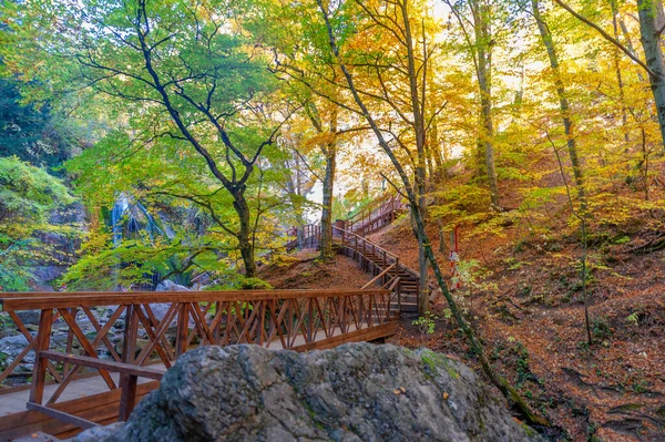 Sendero Senderismo Bosque Hayas Otoño Alto Las Montañas Península Crimea — Foto de Stock