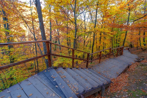 Sendero Senderismo Bosque Hayas Otoño Alto Las Montañas Península Crimea — Foto de Stock