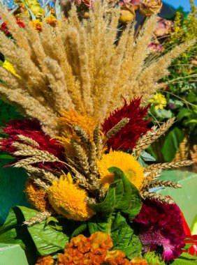 Bir buket çiçek. Çekici bir şekilde düzenlenmiş bir demet çiçek, özellikle bir hediye olarak sunulan ya da bir törende taşınan. burun, lezzet