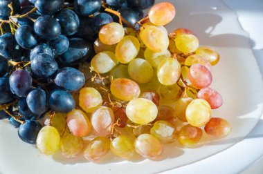 Üzüm, üzüm gibi taze yenebilir ya da şarap, reçel, meyve suyu, reçel, üzüm tohumu özü, kuru üzüm, sirke ve üzüm tohumu yağı yapımında kullanılabilir. Üzümler iklimlendirilmemiş bir meyve türüdür.