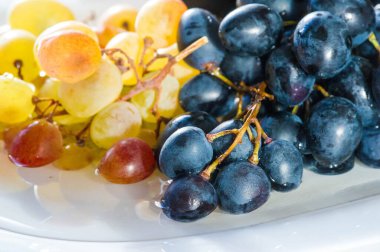 Üzüm, üzüm gibi taze yenebilir ya da şarap, reçel, meyve suyu, reçel, üzüm tohumu özü, kuru üzüm, sirke ve üzüm tohumu yağı yapımında kullanılabilir. Üzümler iklimlendirilmemiş bir meyve türüdür.