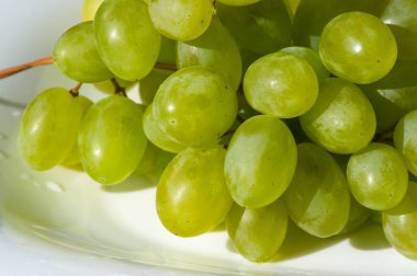 Üzüm, üzüm gibi taze yenebilir ya da şarap, reçel, meyve suyu, reçel, üzüm tohumu özü, kuru üzüm, sirke ve üzüm tohumu yağı yapımında kullanılabilir. Üzümler iklimlendirilmemiş bir meyve türüdür.