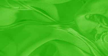 Arka plan, desen, doku, duvar kağıdı, yeşil soluk ipek kumaş parlak bir ışıltıya sahip. Bu çok yönlü bir kumaş. Tasarımının güzel aksanlarıyla yaratıcı ol..
