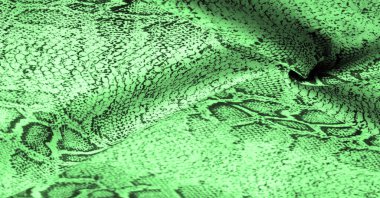 Doku, arka plan, desen, yeşil yılan derisi desenli kumaş, Afrika kumaşı, özel tasarım fotoğraf - Afrika ülkesinde safari