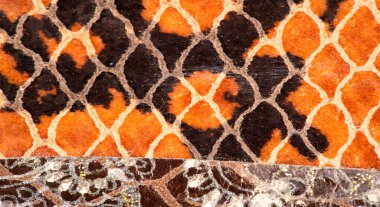 doku arka plan deseni. dekoratif hayvan derisi, parlak renkler boyalı. Panel sanatçı tarafından yapılır. Hayvanın derisine baskı bu desenli hayvan tasarımınız için mükemmel