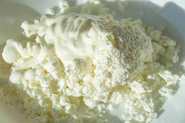 Cottage Cheese Sour Cream Salt Morning Breakfast Soft Lumpy White — Stock Photo, Image