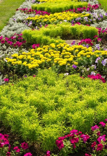 Blommig Landskapsarkitektur Ger Ett Upplopp Färg Till Stadens Gator City — Stockfoto