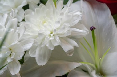 Çiçek buketi yaratıcı bir düzende bir çiçek koleksiyonudur. Çiçek buketleri evlerin ya da kamu binalarının dekorasyonu için düzenlenebilir ya da elde taşınabilir.