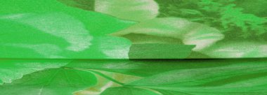 Doku, arkaplan, desen, kartpostal, ipek kumaş, yeşil beyaz çiçekli kadın eşarbı. Muhteşem tasarım çekici arkaplan görüntülerine dayanır. En iyisi olacaksın.