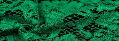 Sonbaharda Kırım Yarımadası 'nın fotoğrafları, Hornbeam Ormanı. 650-700 metre yükseklikte büyür, kayalık meşe ormanları kayın ve korna ile yer değiştirir. toprak ve su korunumu