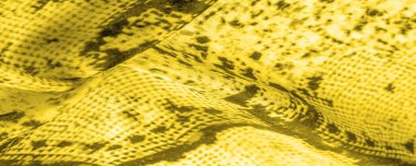 Arkaplan, doku, desen, sarı kareli sarı kumaş, çizgiler.,