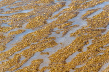 Yüzeyin sığ derinliği, hafif rüzgar, dalgalar, yerel zayıf kıyı rüzgarları gün boyunca denizden karaya ve gece karadan esiyor.
