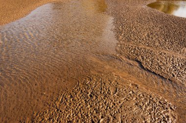 Sonbahar manzarası kumlu kıyılar, yarıklar ve esnemeler, koyu mavi soğuk su, gözleri yakalamak için hüzünlü bir zaman, yaza renkli bir veda