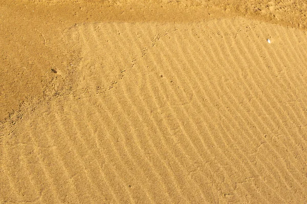 Photographie Été Journée Chaude Jeu Lumière Dans Les Vagues Sur — Photo