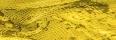 Arkaplan, doku, desen, sarı kareli sarı kumaş, çizgiler.,