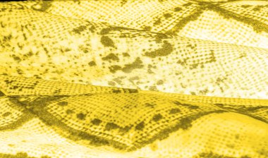 Arkaplan, doku, desen, sarı kareli sarı kumaş, çizgiler.,