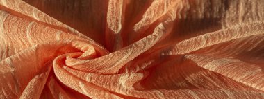 doku, arka plan, desen, koleksiyon, buruşuk ipek kumaş şampanyası (soluk geyik tüyü). Üç Boyutlu