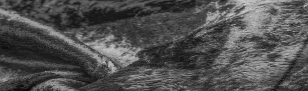 黑白天鹅绒面料 棉或尼龙等致密面料 一边有厚厚的短绒头 — 图库照片