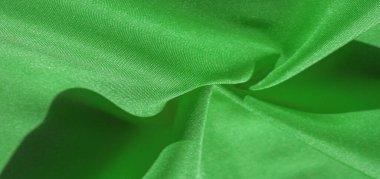 Doku, arka plan, desen, ipek kumaş, orman yeşili. Fotoğraf, iç tasarım, moda tasarımcısı taklidi, pazarlama, mimari, eskiz düzeni ve arkadaş çevresi için tasarlandı.