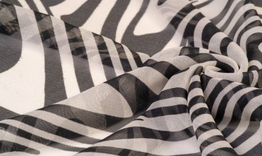 doku, arkaplan, desen, duvar kağıdı, kartpostal, poster, ipek kumaş, beyaz ve siyah soyut çizgiler, geniş oval. retro, sanat