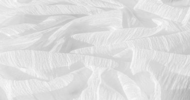 doku, arkaplan, desen, koleksiyon, buruşuk ipek kumaş hayalet beyazı. Üç Boyutlu