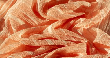 doku, arka plan, desen, koleksiyon, buruşuk ipek kumaş şampanyası (soluk geyik tüyü). Üç Boyutlu