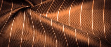 desenli çizim, kompozit tekstil, ince beyaz şeritli asil yeşil ipek kumaş, bazı malzeme ve bileşenlerin doğası; bütünün ya da karışımın bütünlüğü.