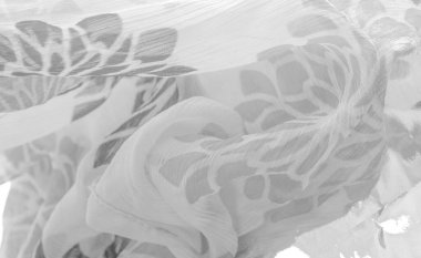 Doku, arka plan, desen, hisler, beyaz çiçekler. Foulard, ipekten ya da ipekten ya da pamuktan yapılmış hafif bir kumaştır.. 