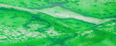 Arkaplan, doku, desen, yeşil kareli beyaz kumaş, çizgiler.