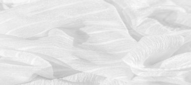 doku, arkaplan, desen, koleksiyon, buruşuk ipek kumaş hayalet beyazı. Üç Boyutlu