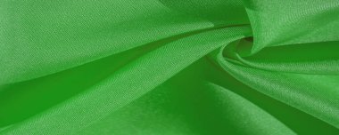 Doku, arka plan, desen, ipek kumaş, orman yeşili. Fotoğraf, iç tasarım, moda tasarımcısı taklidi, pazarlama, mimari, eskiz düzeni ve arkadaş çevresi için tasarlandı.